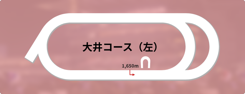 大井競馬場1650m左回りコース全体図:大井唯一の左回りコース構造と特殊性を示した詳細レイアウト 大井競馬場左回りコース全体図