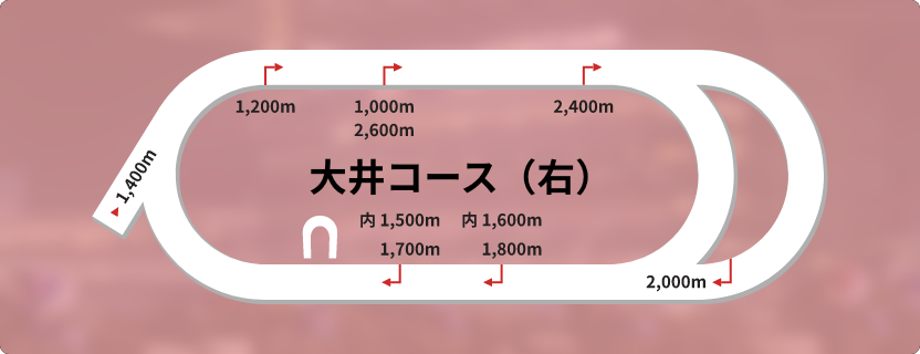 大井競馬場右回りコース全体図